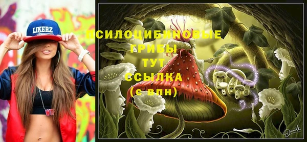 скорость Алексин