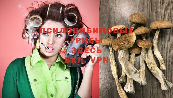 скорость Алексин