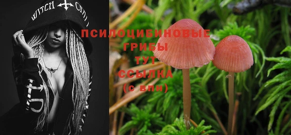 крисы Алексеевка